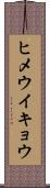 ヒメウイキョウ Scroll