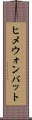ヒメウォンバット Scroll