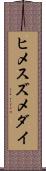 ヒメスズメダイ Scroll