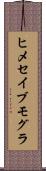 ヒメセイブモグラ Scroll