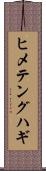 ヒメテングハギ Scroll
