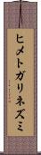 ヒメトガリネズミ Scroll