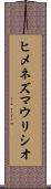Jimenez Mauricio Scroll