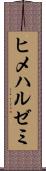 ヒメハルゼミ Scroll