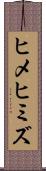 ヒメヒミズ Scroll