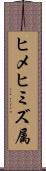 ヒメヒミズ属 Scroll