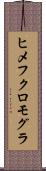 ヒメフクロモグラ Scroll