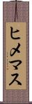 ヒメマス Scroll