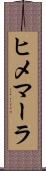 ヒメマーラ Scroll