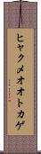 ヒャクメオオトカゲ Scroll