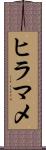 ヒラマメ Scroll