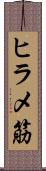 ヒラメ筋 Scroll