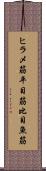 ヒラメ筋 Scroll