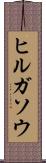 ヒルガソウ Scroll
