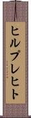 ヒルプレヒト Scroll