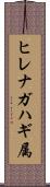 ヒレナガハギ属 Scroll