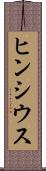 ヒンシウス Scroll