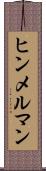 ヒンメルマン Scroll