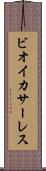ビオイ・カサーレス Scroll