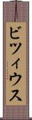 ビツィウス Scroll