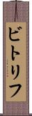 ビトリフ Scroll