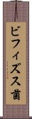 ビフィズス菌 Scroll