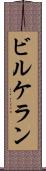 ビルケラン Scroll