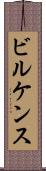 ビルケンス Scroll