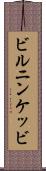 ビルニンケッビ Scroll