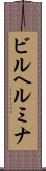 ビルヘルミナ Scroll