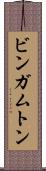 ビンガムトン Scroll