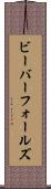 ビーバーフォールズ Scroll