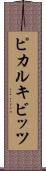 ピカルキビッツ Scroll