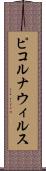 ピコルナウィルス Scroll