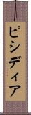 ピシディア Scroll