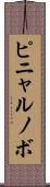 ピニャルノボ Scroll