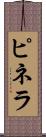 ピネラ Scroll