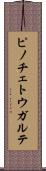 ピノチェトウガルテ Scroll
