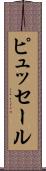 ピュッセール Scroll