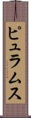ピュラムス Scroll