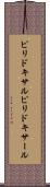 ピリドキサル Scroll