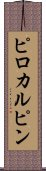 ピロカルピン Scroll