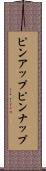 ピンアップ Scroll
