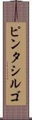 ピンタシルゴ Scroll