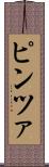 ピンツァ Scroll