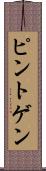 ピントゲン Scroll