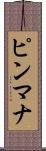 ピンマナ Scroll