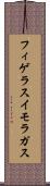 フィゲラスイモラガス Scroll