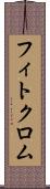フィトクロム Scroll