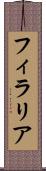 フィラリア Scroll
